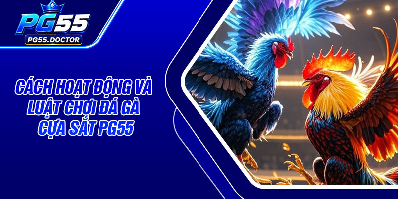 Cách Hoạt Động Và Luật Chơi Đá Gà Cựa Sắt PG55