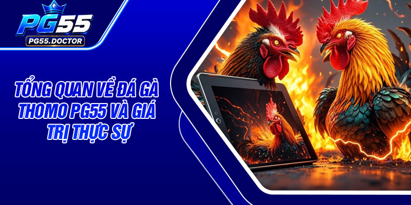 Tổng Quan Về Đá Gà Thomo PG55 Và Giá Trị Thực Sự